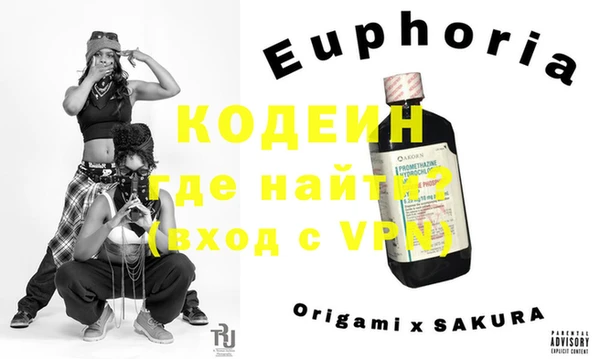 индика Нязепетровск