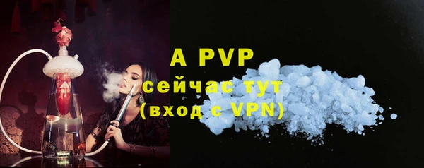 индика Нязепетровск
