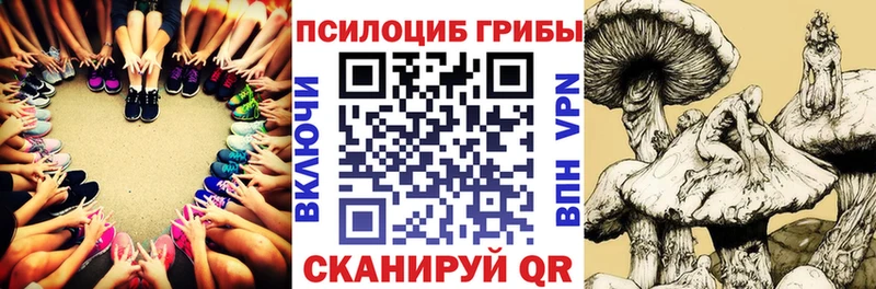 Галлюциногенные грибы Psilocybine cubensis  mega как зайти  Томари 